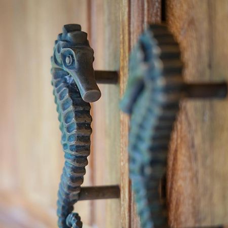 Kuda Laut Bungalows & Diving ペムテラン エクステリア 写真