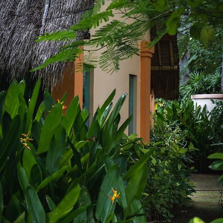 Kuda Laut Bungalows & Diving ペムテラン エクステリア 写真