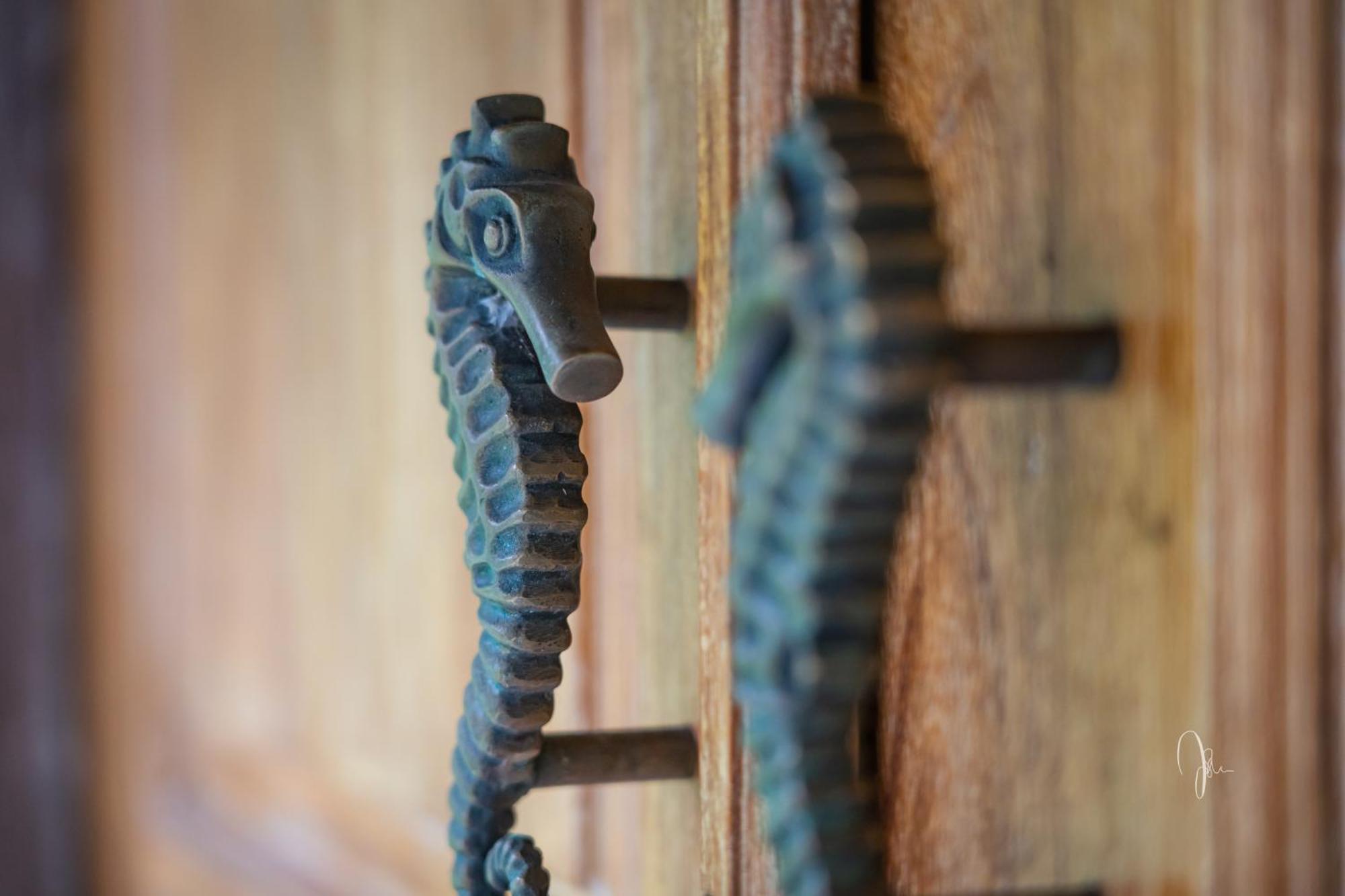Kuda Laut Bungalows & Diving ペムテラン エクステリア 写真